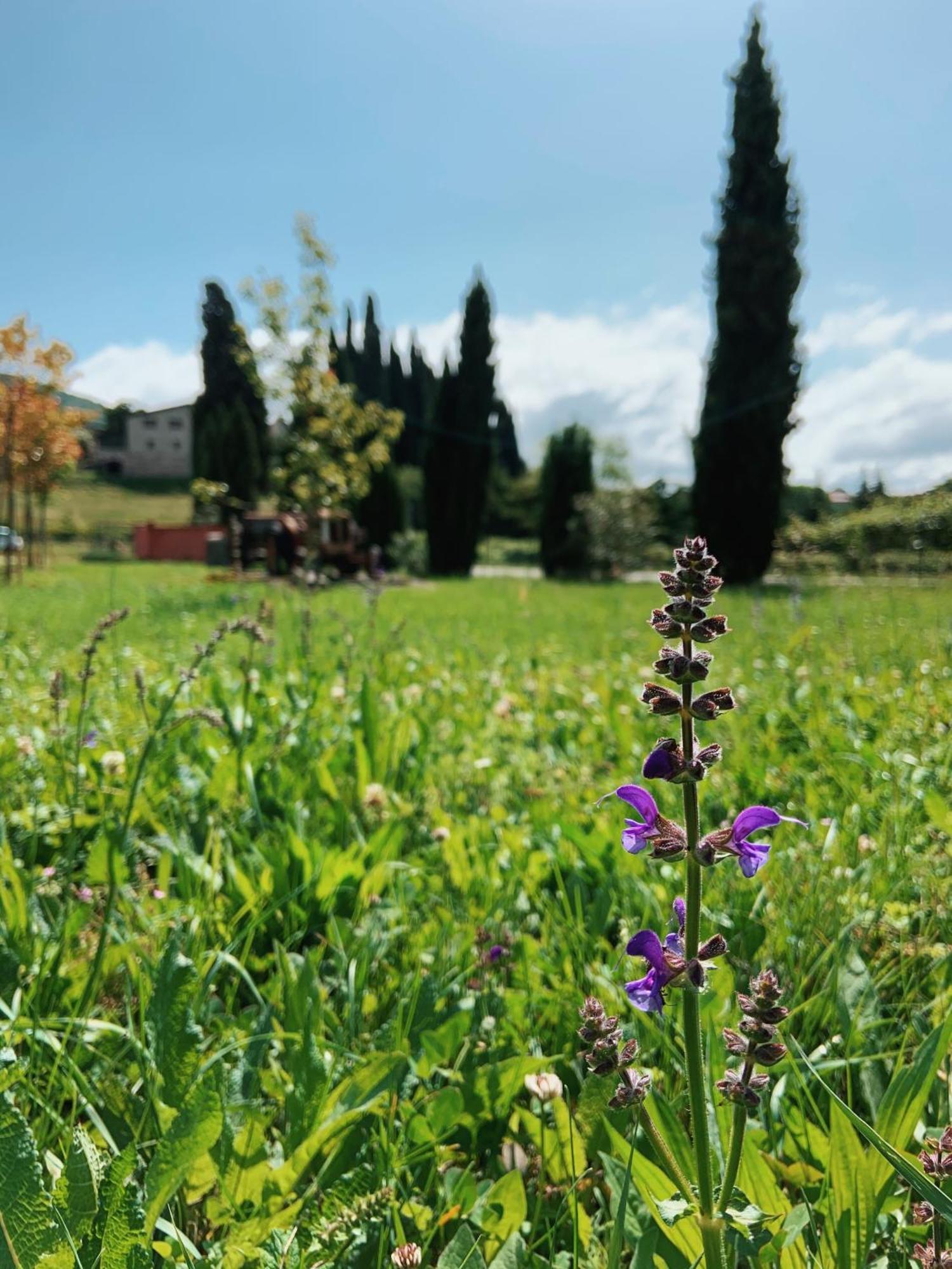 Agriturismo Val Costermano Exterior photo